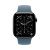 Apple Watch Series 11, 42 mm, Slate Titanium GPS+Cellular, Purple Fog Sport Band S/M